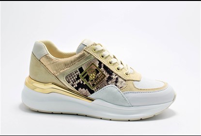 SAPATOS SENHORA Cordão